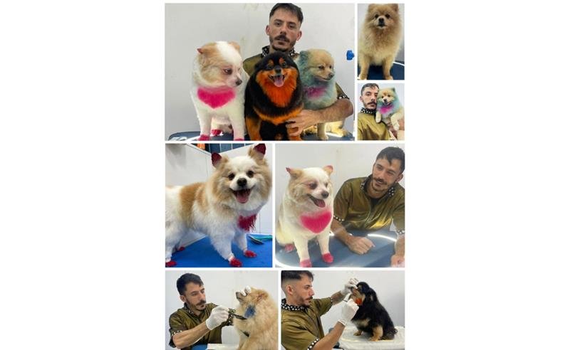 Reinaldo Martins: O Mago das Tesouras da Clínica Cãomarada